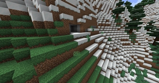 snowy biomes