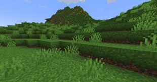 plain biomes