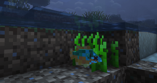 imagel.png