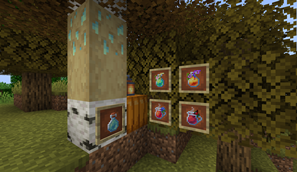 Birch Sap & Seasonal Drinks