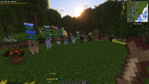 Dogs.png