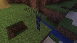 Minecraft Screenshot 2025.05.17 - 11.39.52.80.png