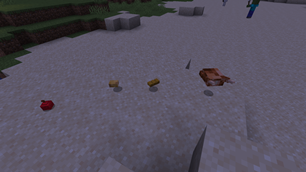 Minecraft Screenshot 2025.05.17 - 11.40.06.65.png