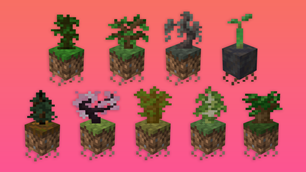 Saplings