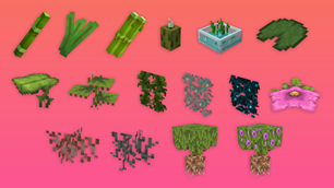 Plants