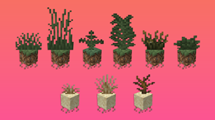 More Plants