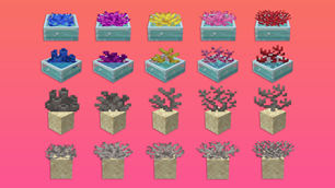 Corals