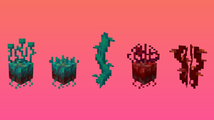 Nether Plants