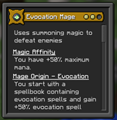 evocation mage.png