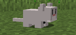 mouse
