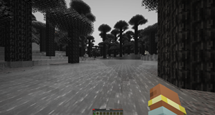 Hazel Biome