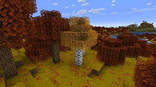 Yellow grass, Regular birch