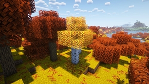 Yellow grass, Regular birch + shaders