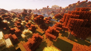 Withered grass, Regular birch + shaders
