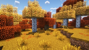 Withered grass, Programmer Art birch + shaders