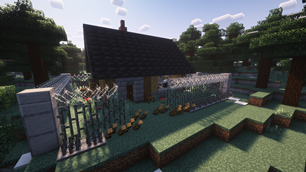Build a safe place you can call "home"