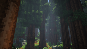 Forests are beautiful, but very dangerous at night