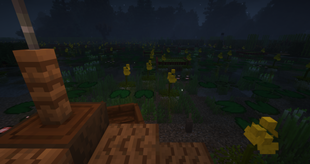 Bladderwort_3