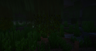 Bladderwort_4