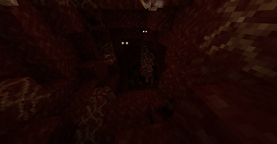entrance 2.png