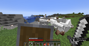 shielding sheep.png