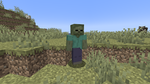 Walker