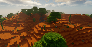 image.webp