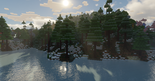 image.webp