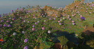 image.webp