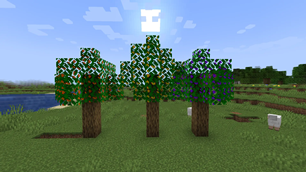 fruit trees