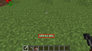 The coordinates above the hotbar.