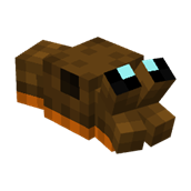 Brown Slug
