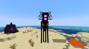 void walker