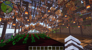 Garden Overhang