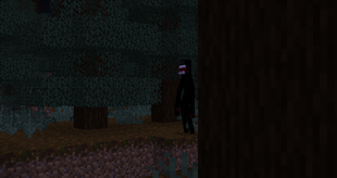 hiding behind tree