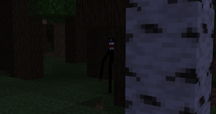 stalking behind tree
