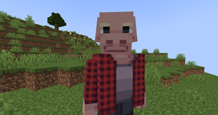 John Pork