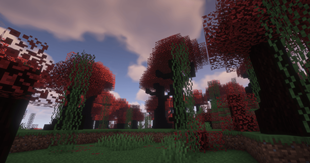 imagen_2025-05-22_163144716.png