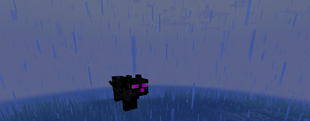 Ender Cat