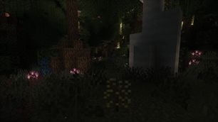 corrupted entity