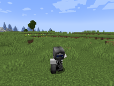 earth elemental master