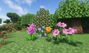 Once fully-grown, flowers can be harvested and placed on grass/dirt