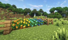 Seeds can be used to farm flowers