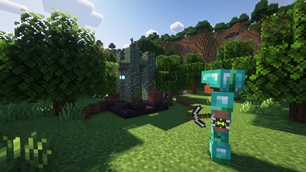 SCREEN10 justsomeninja_PIC5.jpg