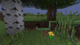 Wild snail and slime trail