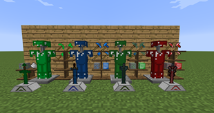 Item Display2