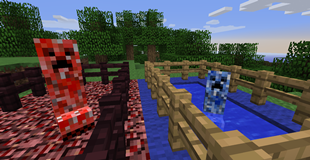 Ocean and Hell Creepers