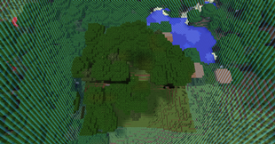 Your World Size
