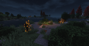 Zombie Apocalypse