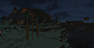 Zombie Apocalypse